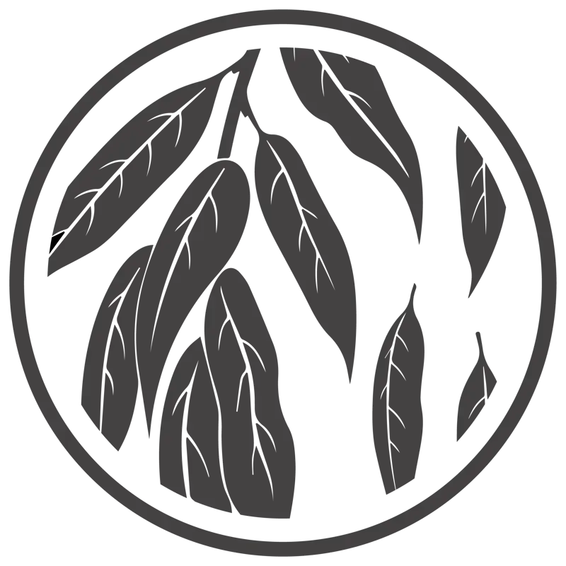 Functional Medicine at The Door W4